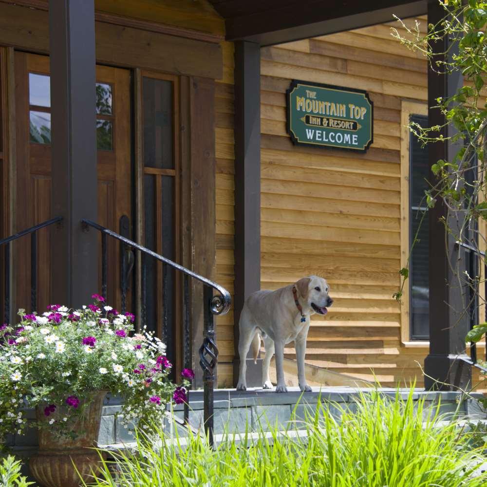 The Mountain Top Inn & Resort Chittenden وسائل الراحة الصورة